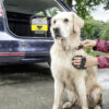 Pet Accessory Box - Image 3