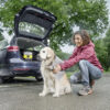 Pet Accessory Box - Image 4